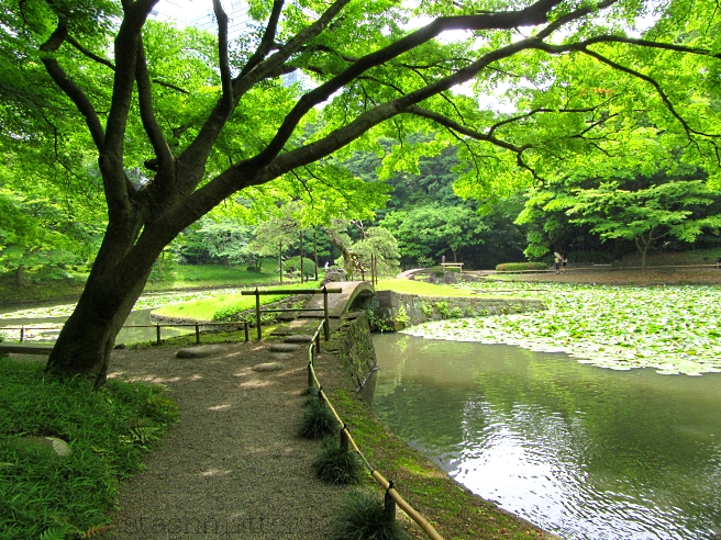 Koishikawa Korakuen Garden